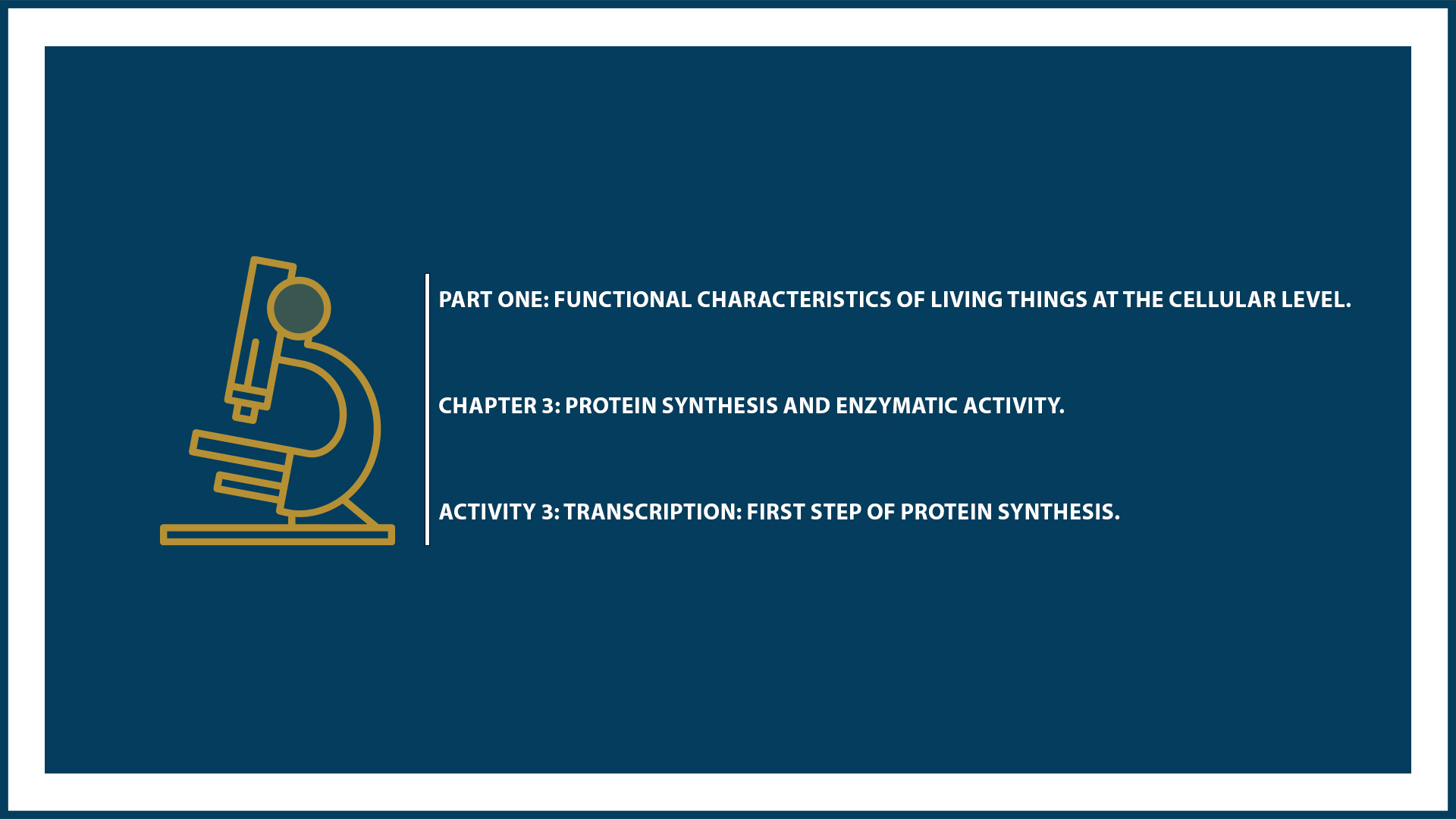 Chapter 3: Protein Synthesis - Activity 3: Transcription, First step of protein synthesis